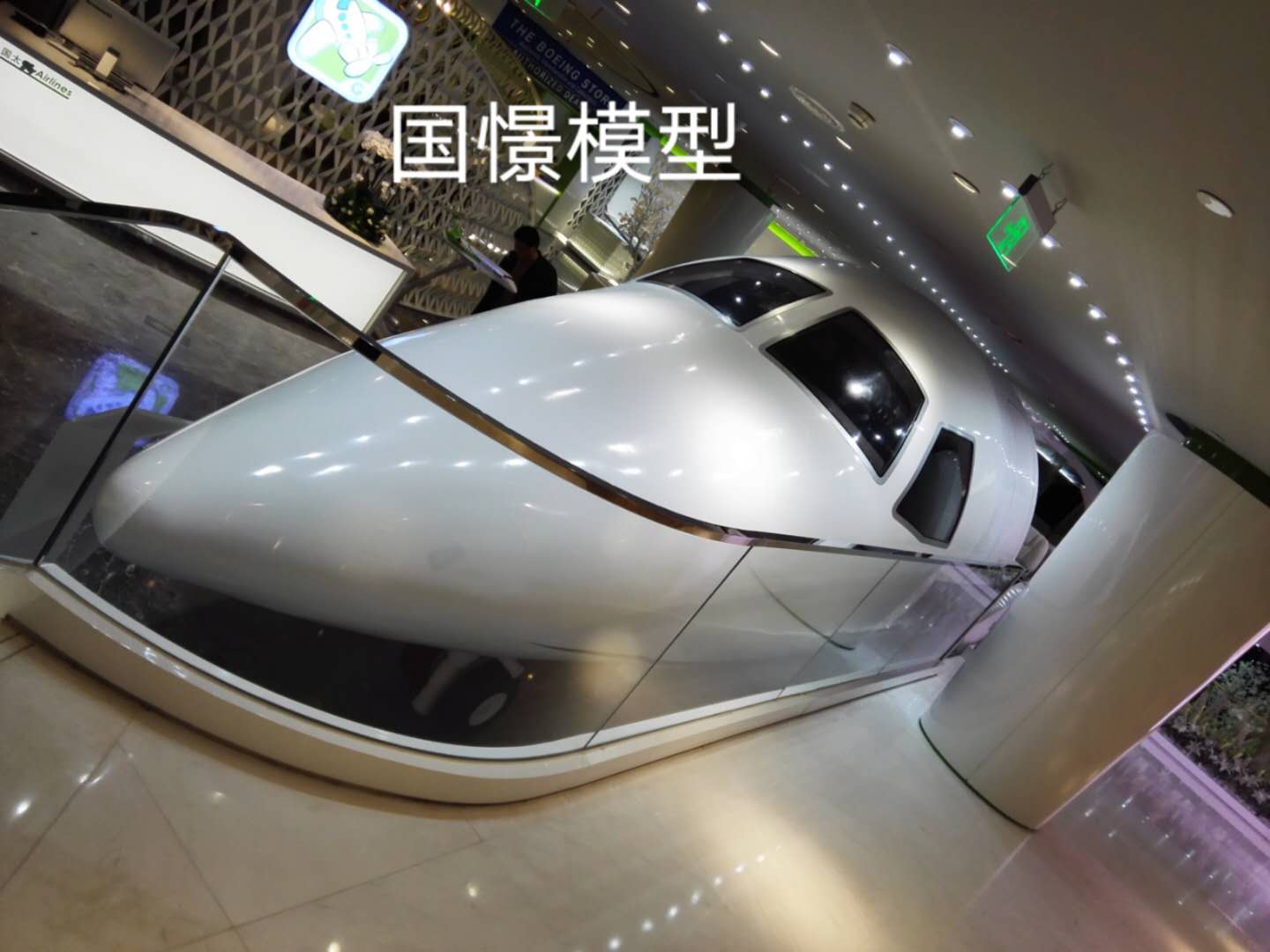 庐江县大型仿真模型道具