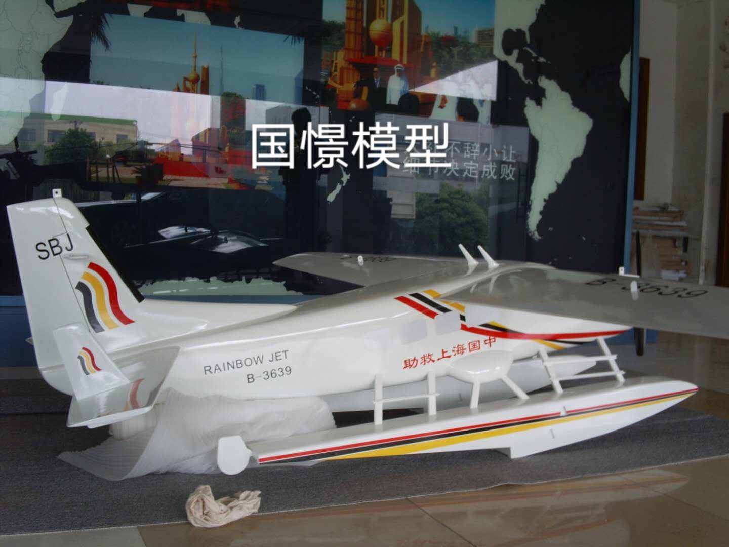 庐江县飞机模型